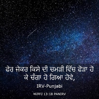 Picture 03 - ਅਹਬਾਰ 13:18 PANIRV - ਫੇਰ ਜੇਕਰ ਕਿਸੇ ਦੀ - Bible Verse Picture