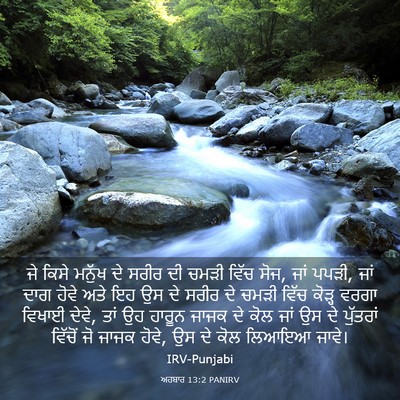 Picture 03 - ਅਹਬਾਰ 13:2 PANIRV - ਜੇ ਕਿਸੇ ਮਨੁੱਖ ਦੇ - Bible Verse Picture