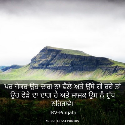 Picture 03 - ਅਹਬਾਰ 13:23 PANIRV - ਪਰ ਜੇਕਰ ਉਹ ਦਾਗ ਨਾ - Bible Verse Picture