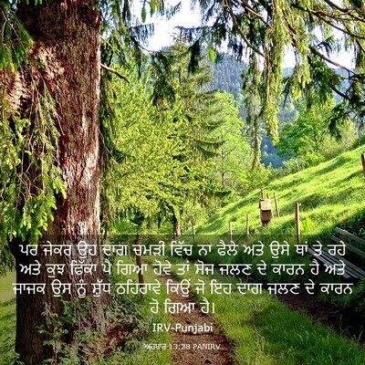 Picture 03 - ਅਹਬਾਰ 13:28 PANIRV - ਪਰ ਜੇਕਰ ਉਹ ਦਾਗ ਚਮੜੀ - Bible Verse Picture