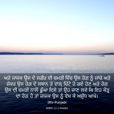 Picture 03 - ਅਹਬਾਰ 13:3 PANIRV - ਅਤੇ ਜਾਜਕ ਉਸ ਦੇ ਸਰੀਰ - Bible Verse Picture