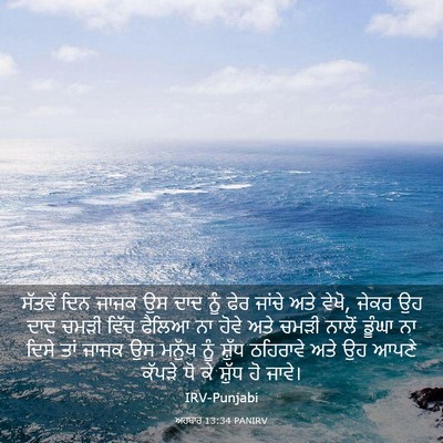 Picture 03 - ਅਹਬਾਰ 13:34 PANIRV - ਸੱਤਵੇਂ ਦਿਨ ਜਾਜਕ ਉਸ - Bible Verse Picture