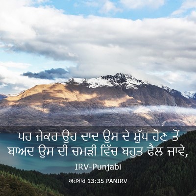 Picture 03 - ਅਹਬਾਰ 13:35 PANIRV - ਪਰ ਜੇਕਰ ਉਹ ਦਾਦ ਉਸ - Bible Verse Picture