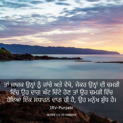 Picture 03 - ਅਹਬਾਰ 13:39 PANIRV - ਤਾਂ ਜਾਜਕ ਉਨ੍ਹਾਂ - Bible Verse Picture
