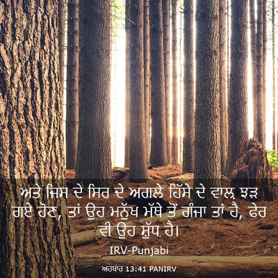 Picture 03 - ਅਹਬਾਰ 13:41 PANIRV - ਅਤੇ ਜਿਸ ਦੇ ਸਿਰ ਦੇ - Bible Verse Picture