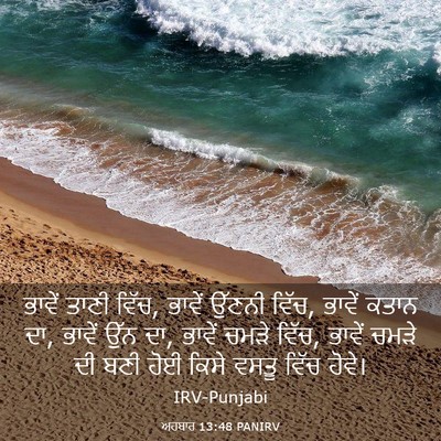 Picture 03 - ਅਹਬਾਰ 13:48 PANIRV - ਭਾਵੇਂ ਤਾਣੀ ਵਿੱਚ, - Bible Verse Picture