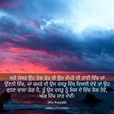 Picture 03 - ਅਹਬਾਰ 13:57 PANIRV - ਅਤੇ ਜੇਕਰ ਉਹ ਰੋਗ ਫੇਰ - Bible Verse Picture
