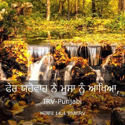 Picture 03 - ਅਹਬਾਰ 14:1 PANIRV - ਫੇਰ ਯਹੋਵਾਹ ਨੇ ਮੂਸਾ - Bible Verse Picture