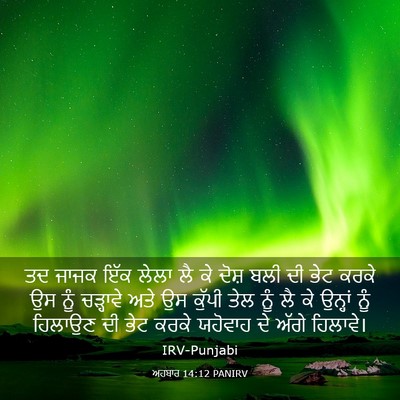 Picture 03 - ਅਹਬਾਰ 14:12 PANIRV - ਤਦ ਜਾਜਕ ਇੱਕ ਲੇਲਾ ਲੈ - Bible Verse Picture