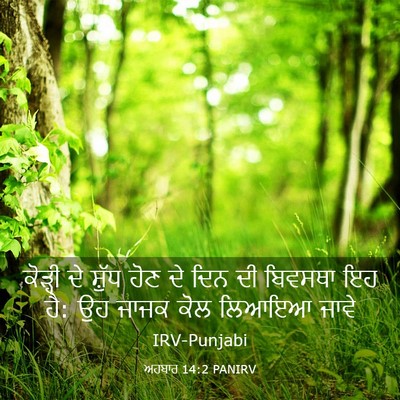 Picture 03 - ਅਹਬਾਰ 14:2 PANIRV - ਕੋੜ੍ਹੀ ਦੇ ਸ਼ੁੱਧ - Bible Verse Picture