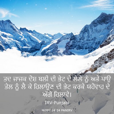Picture 03 - ਅਹਬਾਰ 14:24 PANIRV - ਤਦ ਜਾਜਕ ਦੋਸ਼ ਬਲੀ ਦੀ - Bible Verse Picture