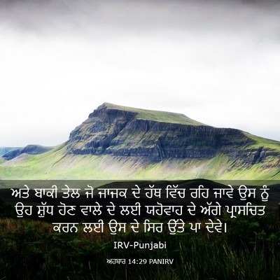 Picture 03 - ਅਹਬਾਰ 14:29 PANIRV - ਅਤੇ ਬਾਕੀ ਤੇਲ ਜੋ - Bible Verse Picture