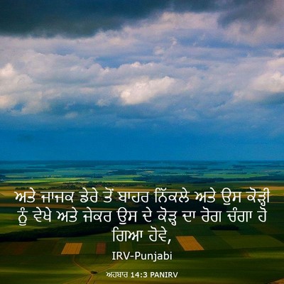 Picture 03 - ਅਹਬਾਰ 14:3 PANIRV - ਅਤੇ ਜਾਜਕ ਡੇਰੇ ਤੋਂ - Bible Verse Picture