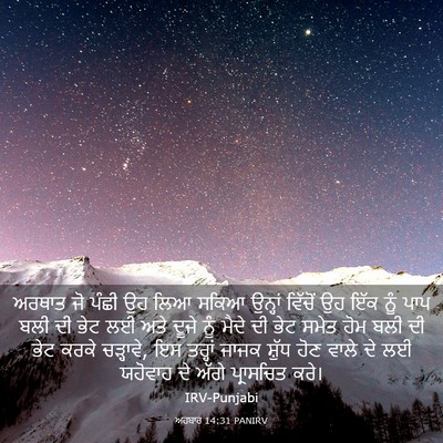 Picture 03 - ਅਹਬਾਰ 14:31 PANIRV - ਅਰਥਾਤ ਜੋ ਪੰਛੀ ਉਹ - Bible Verse Picture