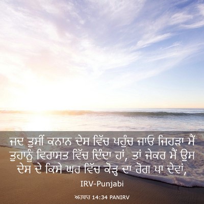 Picture 03 - ਅਹਬਾਰ 14:34 PANIRV - ਜਦ ਤੁਸੀਂ ਕਨਾਨ ਦੇਸ - Bible Verse Picture