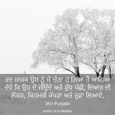 Picture 03 - ਅਹਬਾਰ 14:4 PANIRV - ਤਦ ਜਾਜਕ ਉਸ ਨੂੰ ਜੋ - Bible Verse Picture