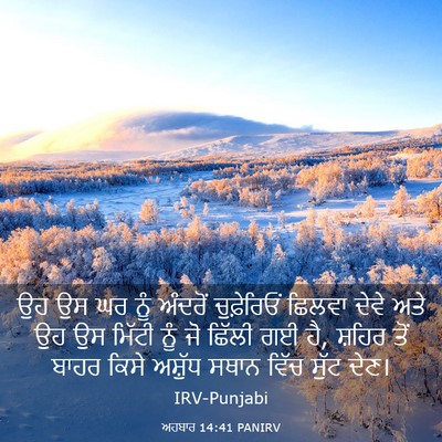 Picture 03 - ਅਹਬਾਰ 14:41 PANIRV - ਉਹ ਉਸ ਘਰ ਨੂੰ ਅੰਦਰੋਂ - Bible Verse Picture