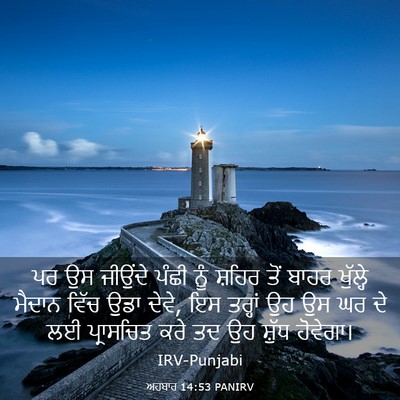 Picture 03 - ਅਹਬਾਰ 14:53 PANIRV - ਪਰ ਉਸ ਜੀਉਂਦੇ ਪੰਛੀ - Bible Verse Picture