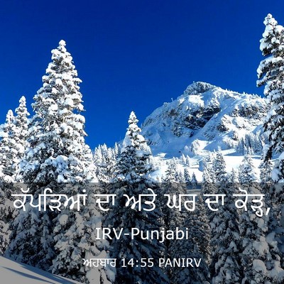 Picture 03 - ਅਹਬਾਰ 14:55 PANIRV - ਕੱਪੜਿਆਂ ਦਾ ਅਤੇ ਘਰ - Bible Verse Picture