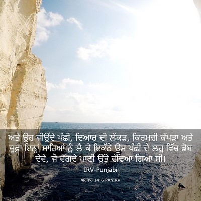 Picture 03 - ਅਹਬਾਰ 14:6 PANIRV - ਅਤੇ ਉਹ ਜੀਉਂਦੇ ਪੰਛੀ, - Bible Verse Picture
