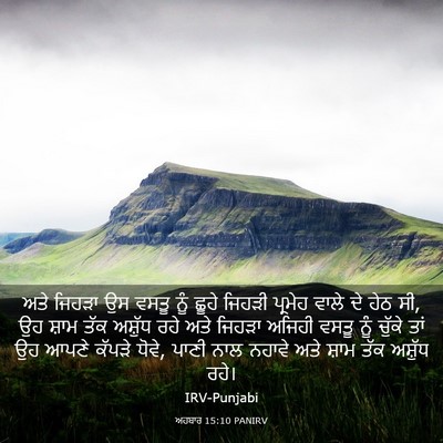 Picture 03 - ਅਹਬਾਰ 15:10 PANIRV - ਅਤੇ ਜਿਹੜਾ ਉਸ ਵਸਤੂ - Bible Verse Picture