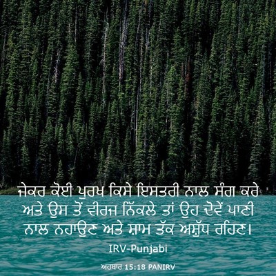 Picture 03 - ਅਹਬਾਰ 15:18 PANIRV - ਜੇਕਰ ਕੋਈ ਪੁਰਖ ਕਿਸੇ - Bible Verse Picture