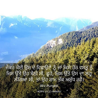 Picture 03 - ਅਹਬਾਰ 15:23 PANIRV - ਜੇਕਰ ਕੋਈ ਉਸ ਦੇ - Bible Verse Picture