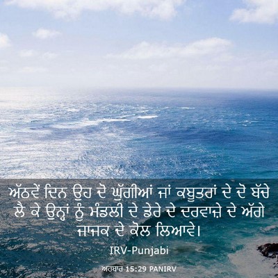 Picture 03 - ਅਹਬਾਰ 15:29 PANIRV - ਅੱਠਵੇਂ ਦਿਨ ਉਹ ਦੋ - Bible Verse Picture