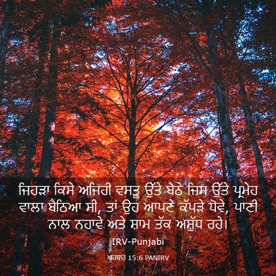 Picture 03 - ਅਹਬਾਰ 15:6 PANIRV - ਜਿਹੜਾ ਕਿਸੇ ਅਜਿਹੀ - Bible Verse Picture