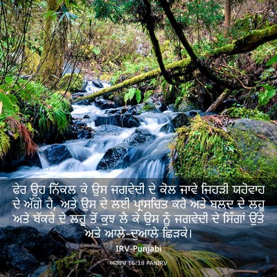 Picture 03 - ਅਹਬਾਰ 16:18 PANIRV - ਫੇਰ ਉਹ ਨਿੱਕਲ ਕੇ ਉਸ - Bible Verse Picture