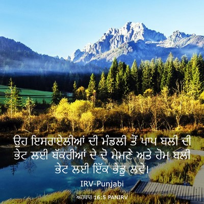 Picture 03 - ਅਹਬਾਰ 16:5 PANIRV - ਉਹ ਇਸਰਾਏਲੀਆਂ ਦੀ - Bible Verse Picture