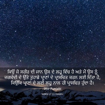 Picture 03 - ਅਹਬਾਰ 17:11 PANIRV - ਕਿਉਂ ਜੋ ਸਰੀਰ ਦੀ ਜਾਨ - Bible Verse Picture