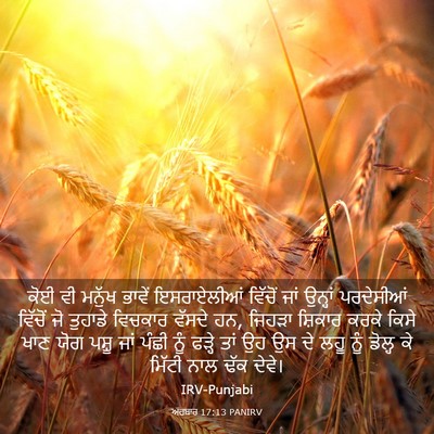 Picture 03 - ਅਹਬਾਰ 17:13 PANIRV - ਕੋਈ ਵੀ ਮਨੁੱਖ ਭਾਵੇਂ - Bible Verse Picture