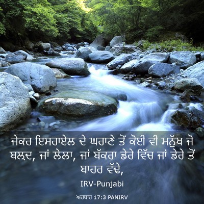 Picture 03 - ਅਹਬਾਰ 17:3 PANIRV - ਜੇਕਰ ਇਸਰਾਏਲ ਦੇ - Bible Verse Picture