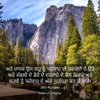 Picture 03 - ਅਹਬਾਰ 17:6 PANIRV - ਅਤੇ ਜਾਜਕ ਉਸ ਲਹੂ ਨੂੰ - Bible Verse Picture