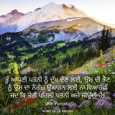 Picture 03 - ਅਹਬਾਰ 18:18 PANIRV - ਤੂੰ ਆਪਣੀ ਪਤਨੀ ਨੂੰ - Bible Verse Picture