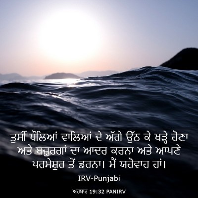 Picture 03 - ਅਹਬਾਰ 19:32 PANIRV - ਤੁਸੀਂ ਧੌਲਿਆਂ - Bible Verse Picture
