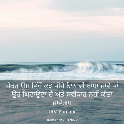 Picture 03 - ਅਹਬਾਰ 19:7 PANIRV - ਜੇਕਰ ਉਸ ਵਿੱਚੋਂ ਕੁਝ - Bible Verse Picture