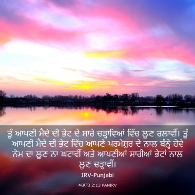 Picture 03 - ਅਹਬਾਰ 2:13 PANIRV - ਤੂੰ ਆਪਣੀ ਮੈਦੇ ਦੀ - Bible Verse Picture