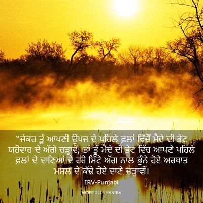 Picture 03 - ਅਹਬਾਰ 2:14 PANIRV - “ਜੇਕਰ ਤੂੰ ਆਪਣੀ ਉਪਜ - Bible Verse Picture