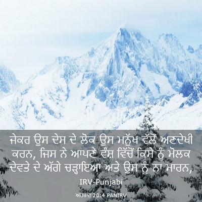 Picture 03 - ਅਹਬਾਰ 20:4 PANIRV - ਜੇਕਰ ਉਸ ਦੇਸ ਦੇ ਲੋਕ - Bible Verse Picture