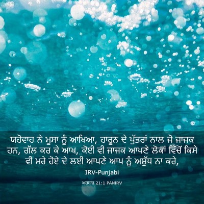 Picture 03 - ਅਹਬਾਰ 21:1 PANIRV - ਯਹੋਵਾਹ ਨੇ ਮੂਸਾ ਨੂੰ - Bible Verse Picture