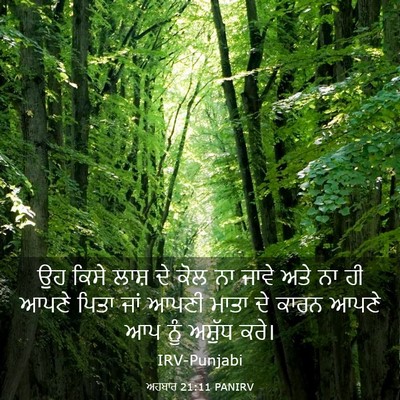 Picture 03 - ਅਹਬਾਰ 21:11 PANIRV - ਉਹ ਕਿਸੇ ਲਾਸ਼ ਦੇ ਕੋਲ - Bible Verse Picture