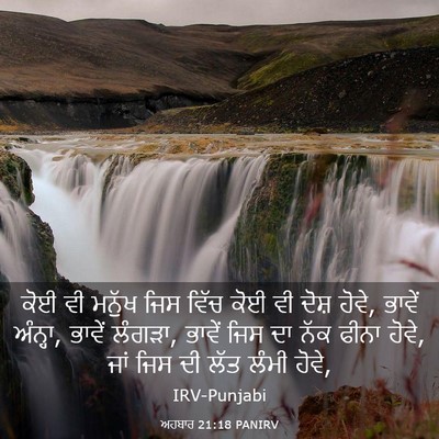 Picture 03 - ਅਹਬਾਰ 21:18 PANIRV - ਕੋਈ ਵੀ ਮਨੁੱਖ ਜਿਸ - Bible Verse Picture