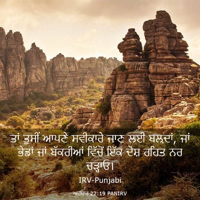 Picture 03 - ਅਹਬਾਰ 22:19 PANIRV - ਤਾਂ ਤੁਸੀਂ ਆਪਣੇ - Bible Verse Picture