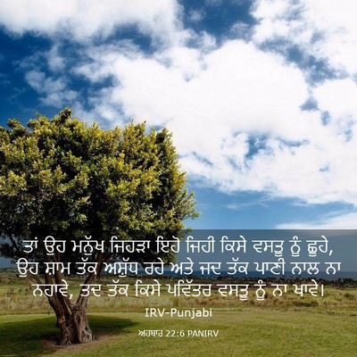 Picture 03 - ਅਹਬਾਰ 22:6 PANIRV - ਤਾਂ ਉਹ ਮਨੁੱਖ ਜਿਹੜਾ - Bible Verse Picture