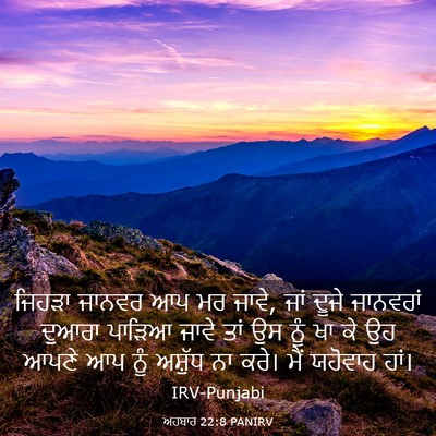 Picture 03 - ਅਹਬਾਰ 22:8 PANIRV - ਜਿਹੜਾ ਜਾਨਵਰ ਆਪ ਮਰ - Bible Verse Picture