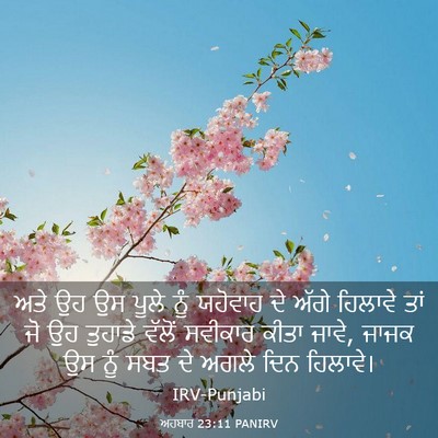Picture 03 - ਅਹਬਾਰ 23:11 PANIRV - ਅਤੇ ਉਹ ਉਸ ਪੂਲੇ ਨੂੰ - Bible Verse Picture