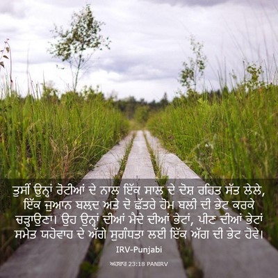Picture 03 - ਅਹਬਾਰ 23:18 PANIRV - ਤੁਸੀਂ ਉਨ੍ਹਾਂ - Bible Verse Picture