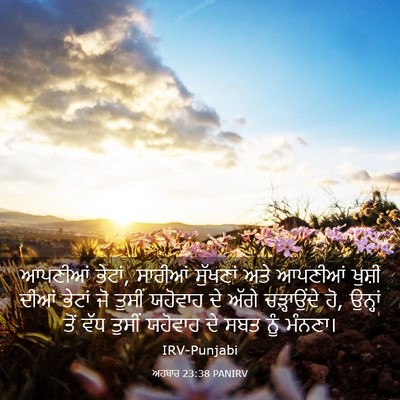 Picture 03 - ਅਹਬਾਰ 23:38 PANIRV - ਆਪਣੀਆਂ ਭੇਟਾਂ, - Bible Verse Picture